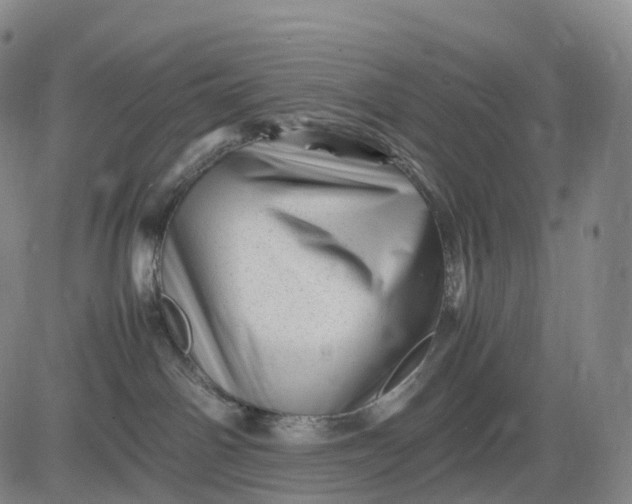 X0000083030142200702161651