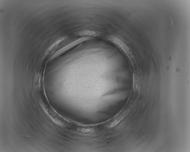 X0000083030157200702161650