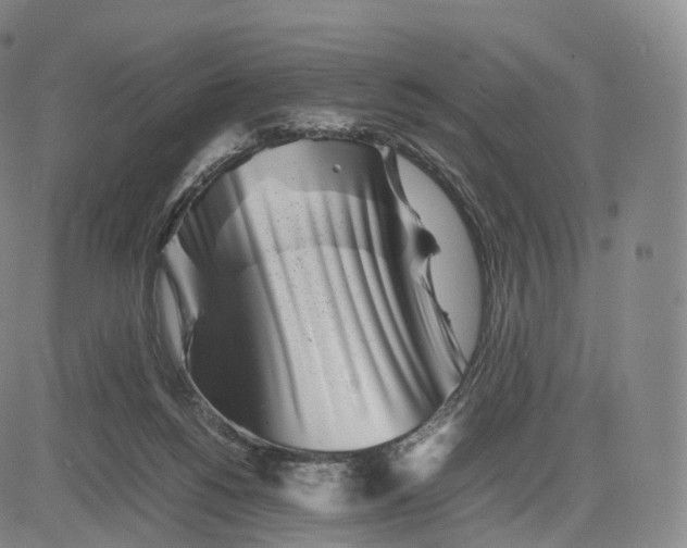 X0000083030168200702161650