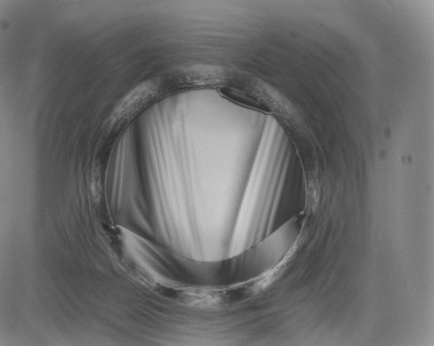 X0000083030170200702161650