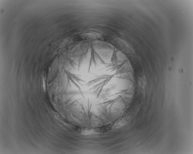 X0000083030177200702161650