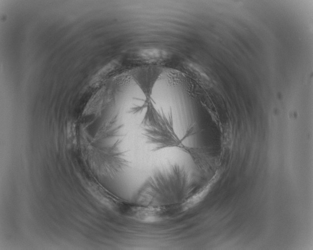 X0000083030182200702161650