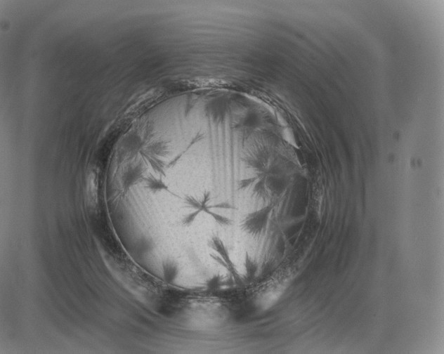 X0000083030214200702161649