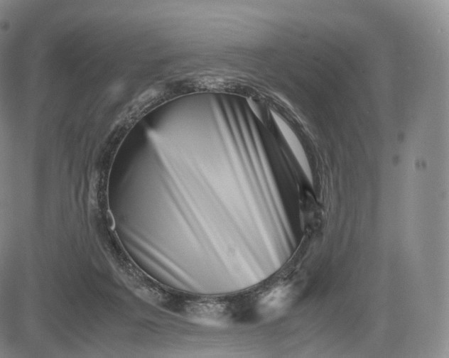 X0000083030217200702161649
