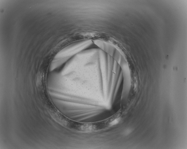 X0000083030225200702161649