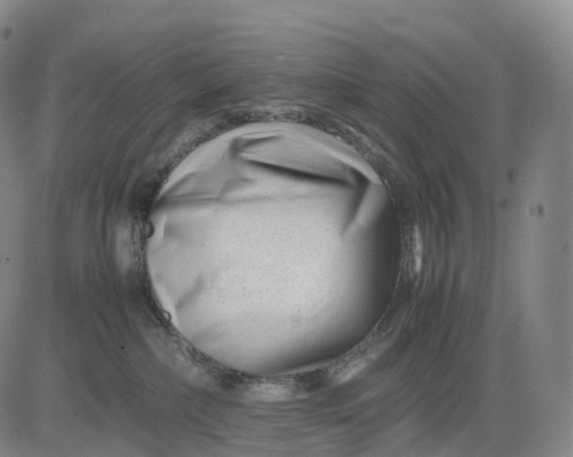 X0000083030236200702161649