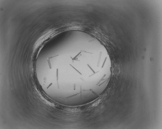X0000083030245200702161648