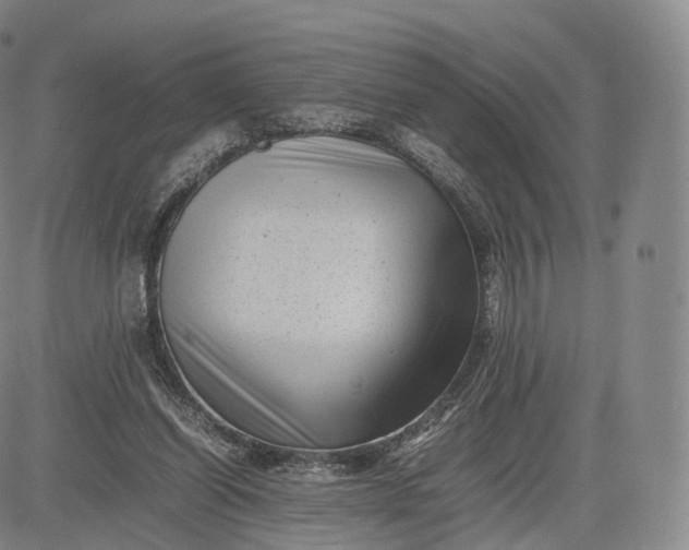 X0000083030254200702161648
