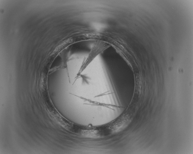 X0000083030266200702161649