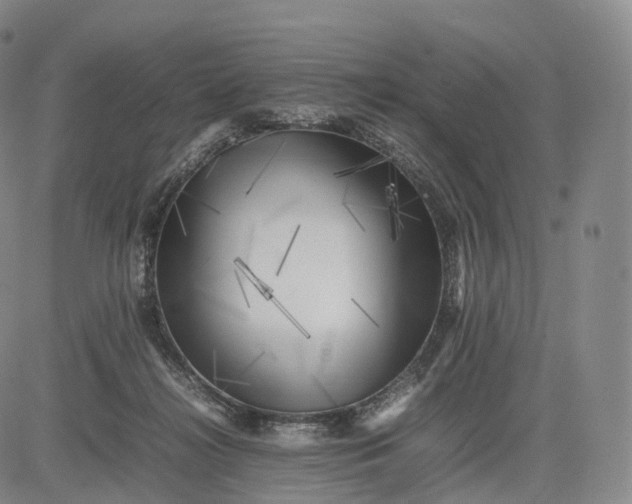 X0000083030268200702161649