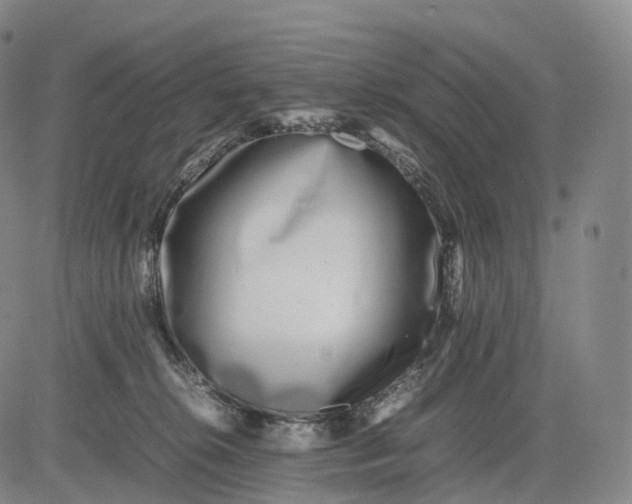 X0000083030276200702161649