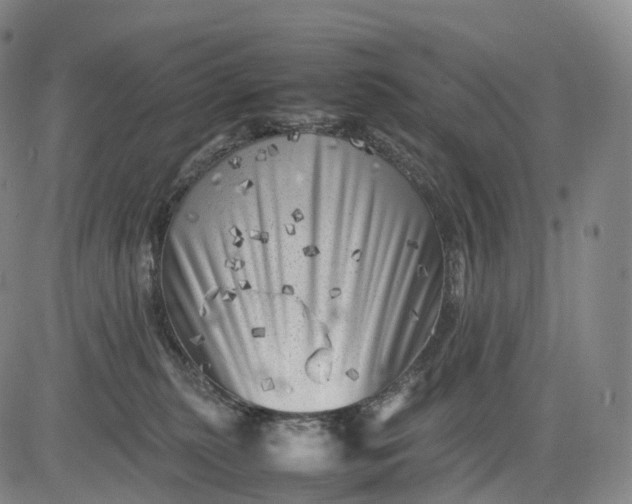 X0000083030279200702161649