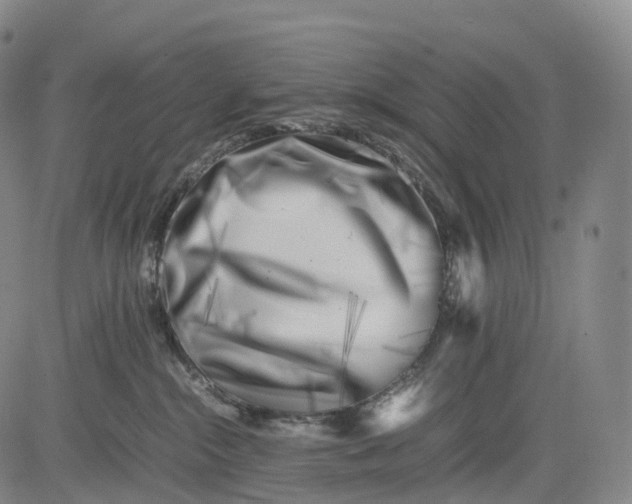 X0000083030284200702161649