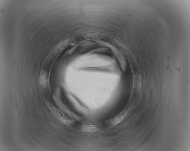 X0000083030287200702161649
