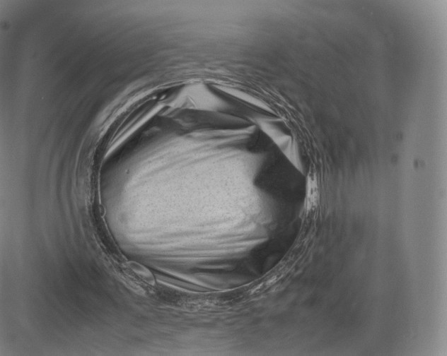 X0000083030291200702161648