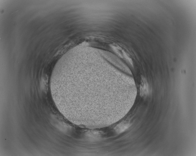 X0000083030332200702161647