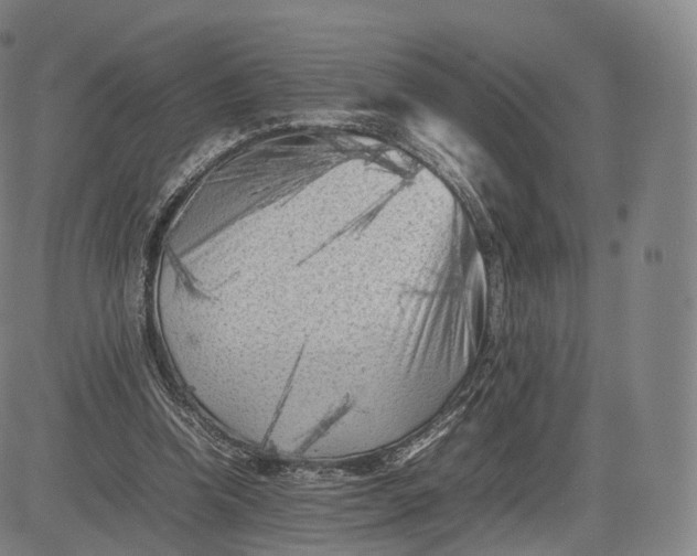 X0000083030346200702161647
