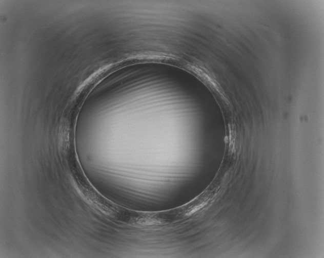 X0000083030348200702161647