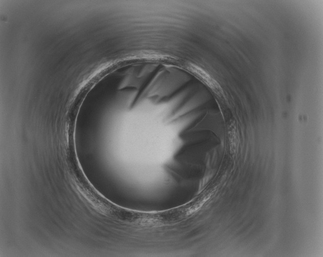 X0000083030350200702161647