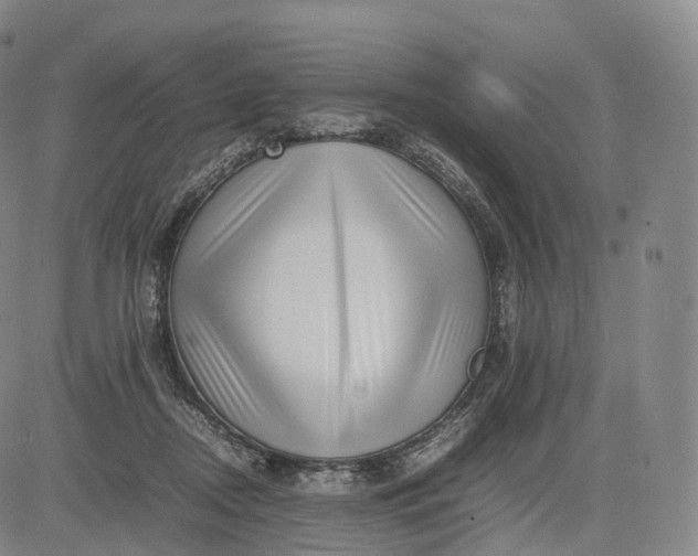 X0000083030362200702161647