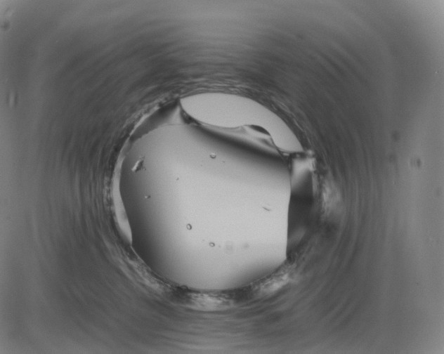 X0000083030380200702161647