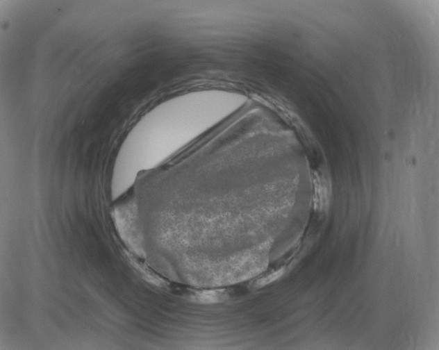X0000083030382200702161647