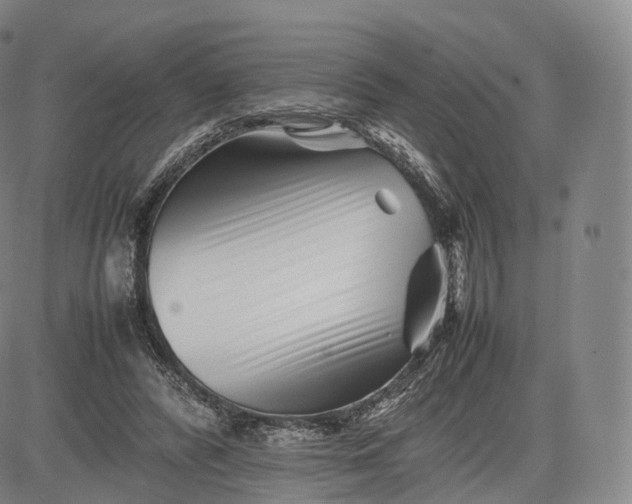 X0000083030400200702161646