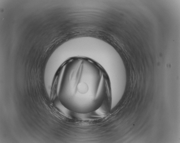 X0000083030412200702161646