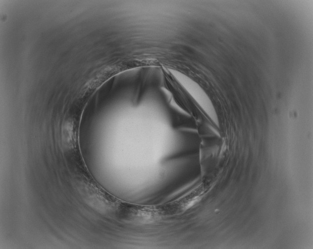 X0000083030420200702161646