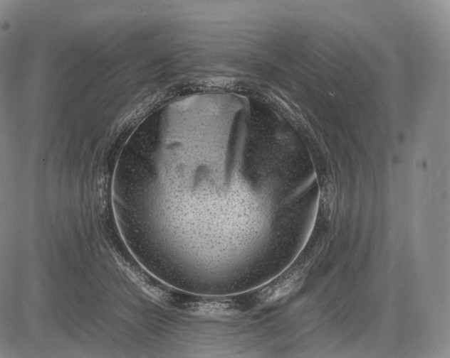 X0000083030462200702161645
