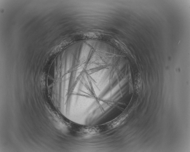 X0000083030466200702161646