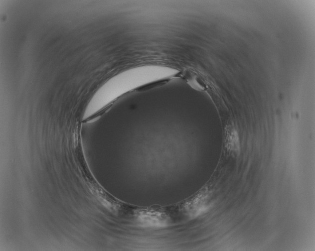 X0000083030471200702161646