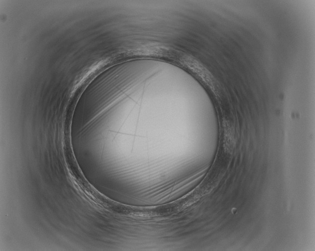 X0000083030482200702161645