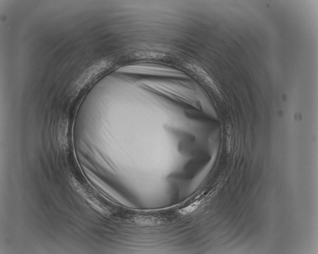 X0000083030490200702161645
