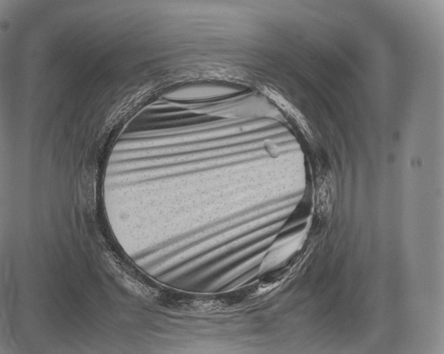 X0000083030493200702161645