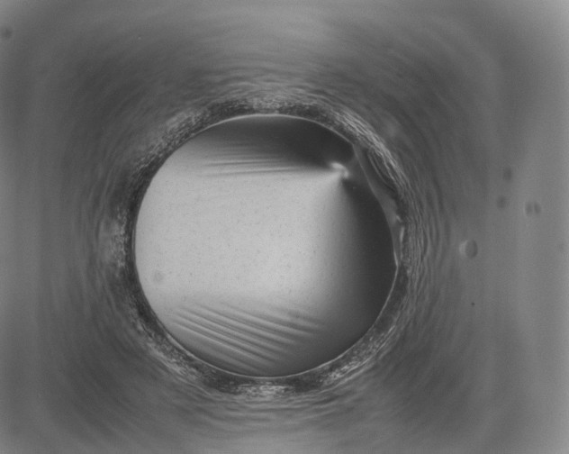 X0000083030497200702161645