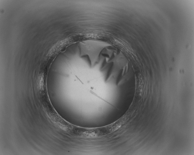 X0000083030502200702161645