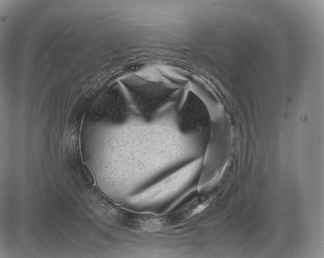X0000083030513200702161644