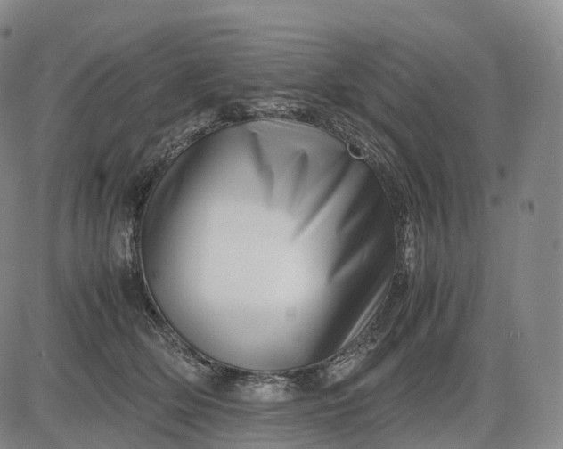 X0000083030514200702161644