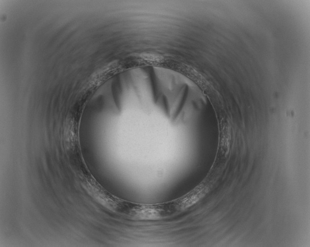 X0000083030518200702161644
