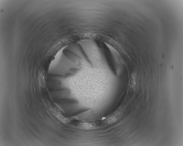 X0000083030522200702161644