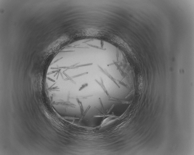 X0000083030542200702161644