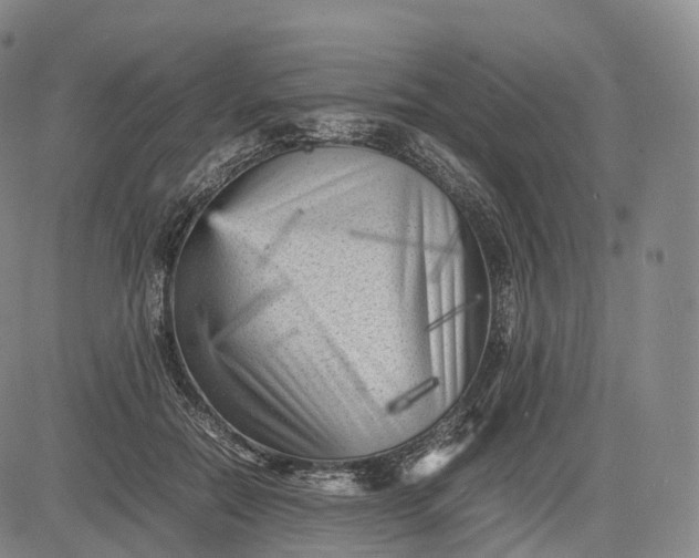X0000083030554200702161644
