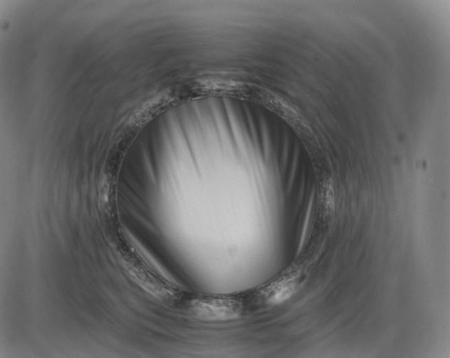 X0000083030567200702161644