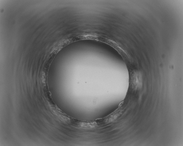 X0000083030571200702161644