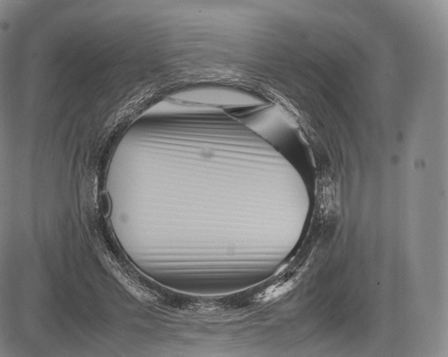 X0000083030589200702161643