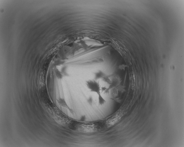 X0000083030606200702161643