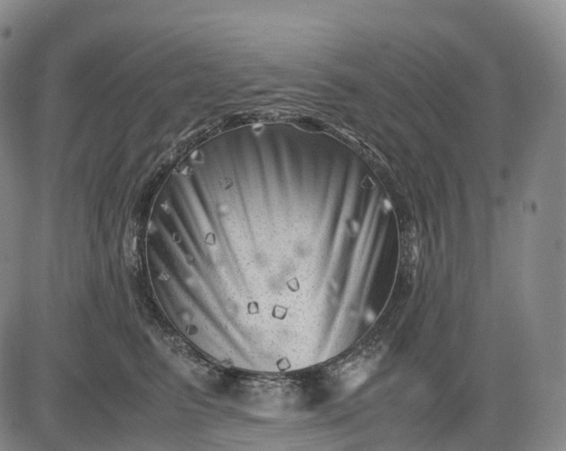 X0000083030615200702161643