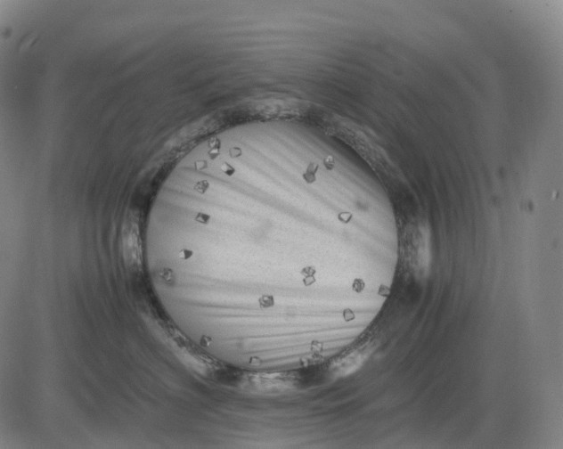 X0000083030622200702161643