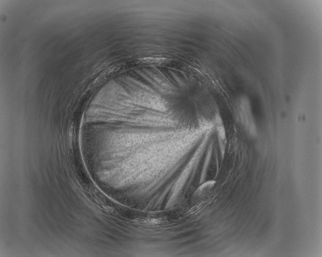X0000083030647200702161642